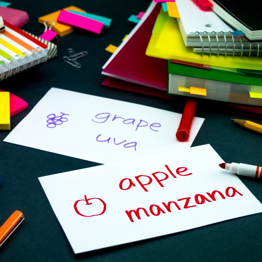 Tarjetas de vocabulario en inglés y español con dibujos, mostrando palabras como 'grape - uva' y 'apple - manzana', rodeadas de útiles escolares