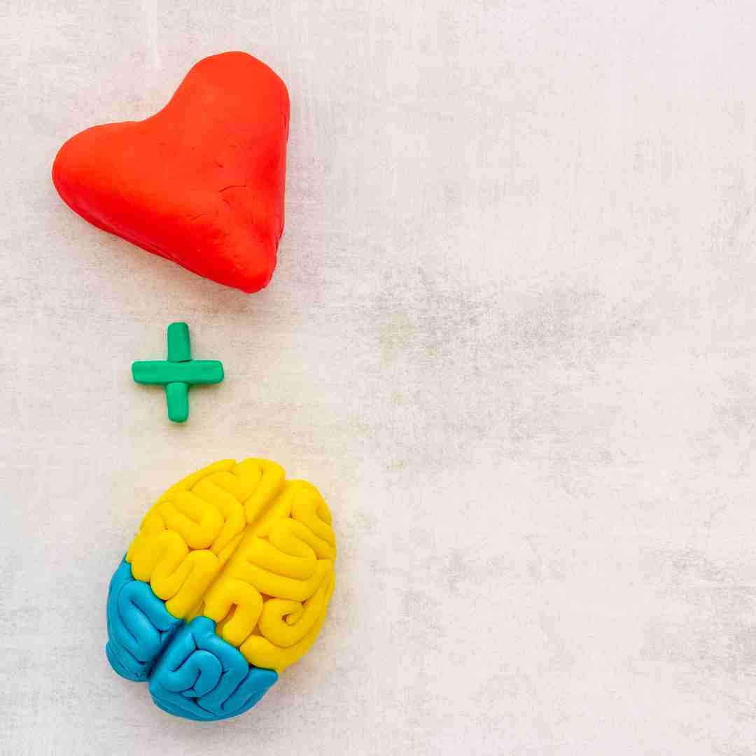 Modelo de plastilina en forma de corazón y cerebro con un símbolo de suma en medio, representando el equilibrio entre emociones y pensamiento racional